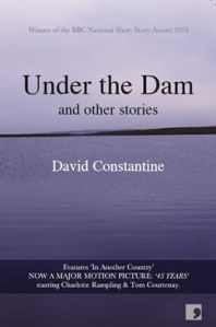 Under the Dam (Cover)